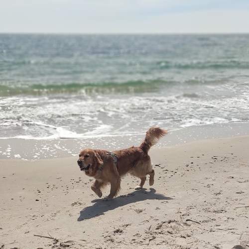 Photo #8134875
