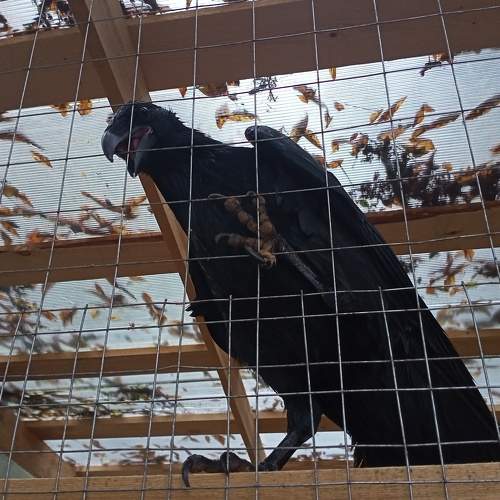 Photo #8135213