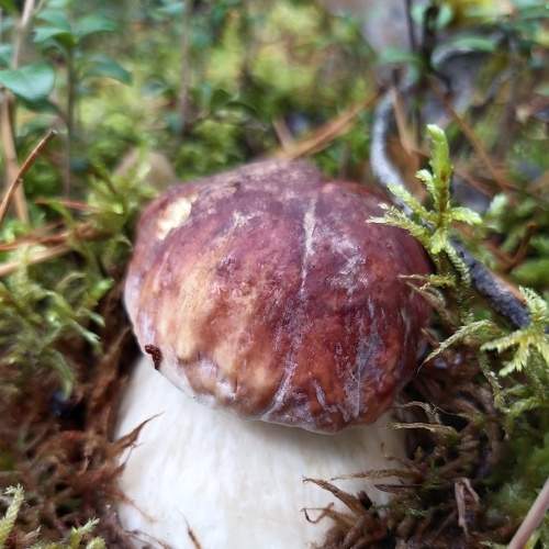 Photo #8135398