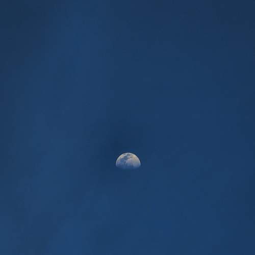 Photo #8135484