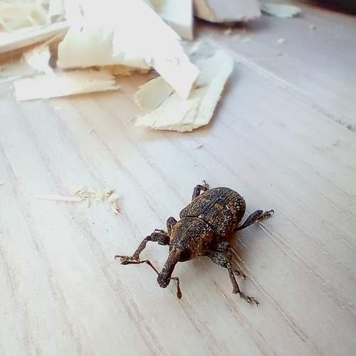 Photo #8136215
