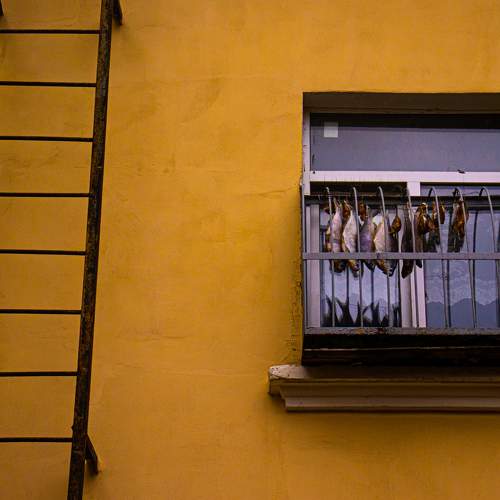 Photo #8136293
