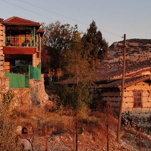 Photo #8136443