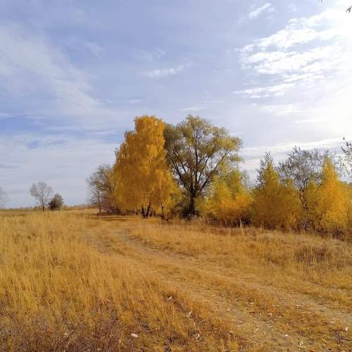 Photo #8136475