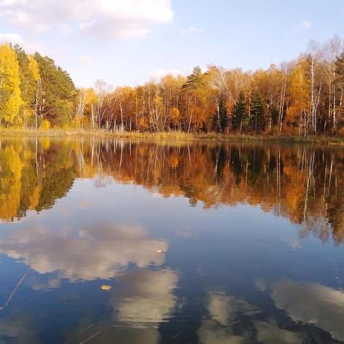 Photo #8136519
