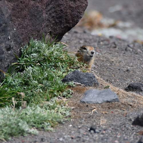 Photo #8136713