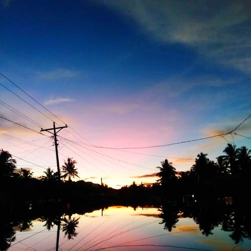 Photo #8136949