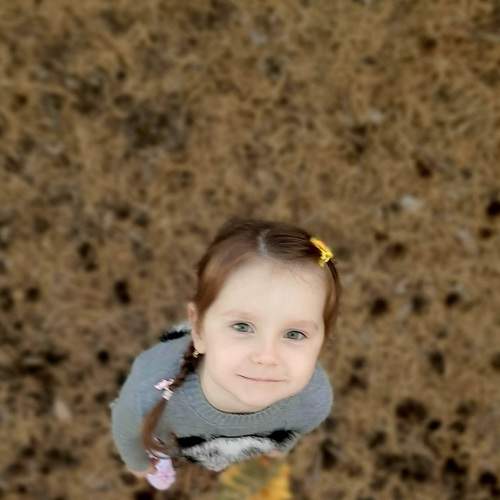 Photo #8137023