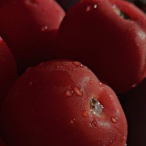 Photo #8137376