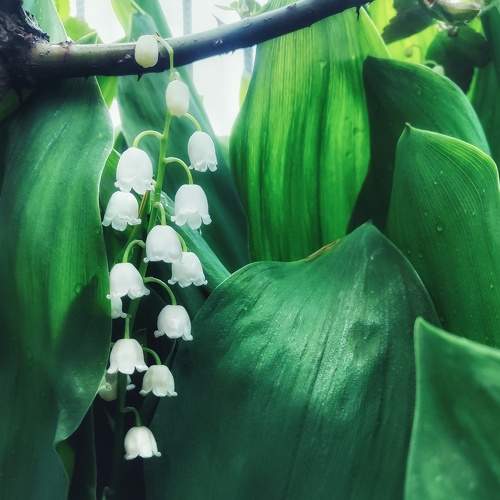 Photo #8137453