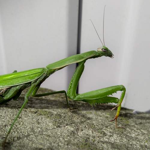 Photo #8137672