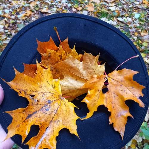 Photo #8138102