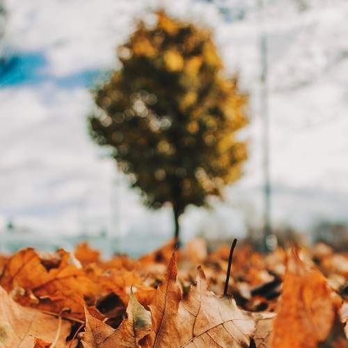 Photo #8138325