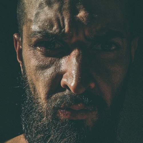 Photo #8138408