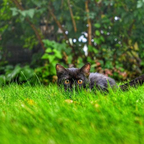 Photo #8138605