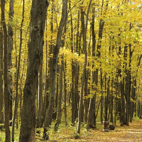 Photo #8139561