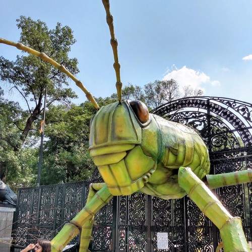 Photo #8139824