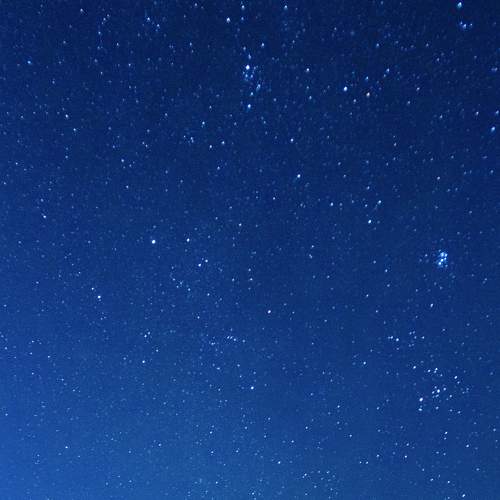 Photo #8140003