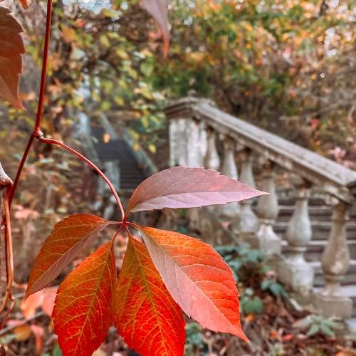 Photo #8140021