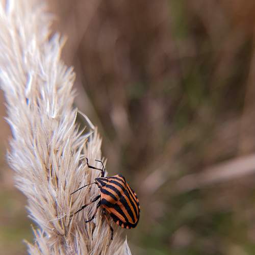 Photo #8140159