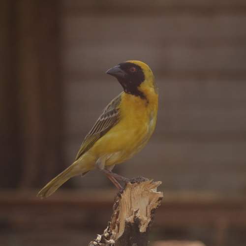 Photo #8140414