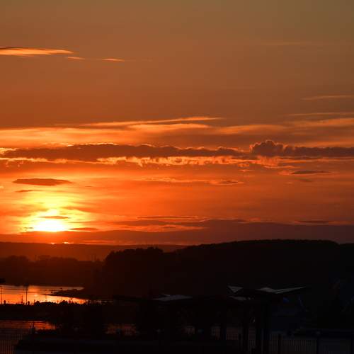 Photo #8140646