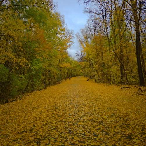 Photo #8140791
