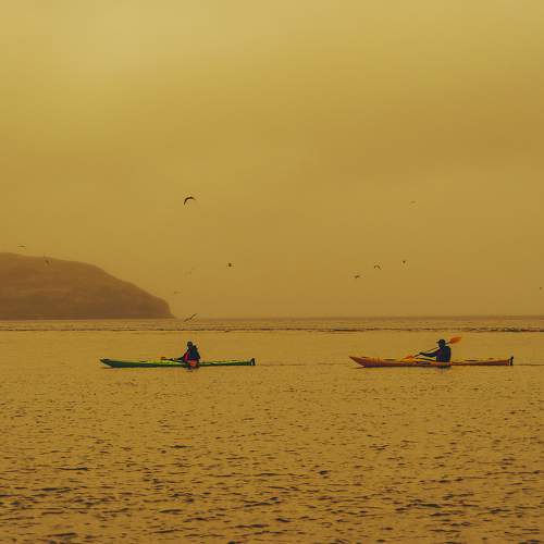 Photo #8141154