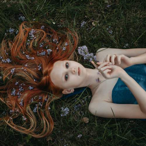 Photo #8141328