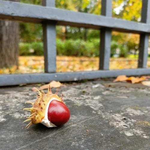 Photo #8141532