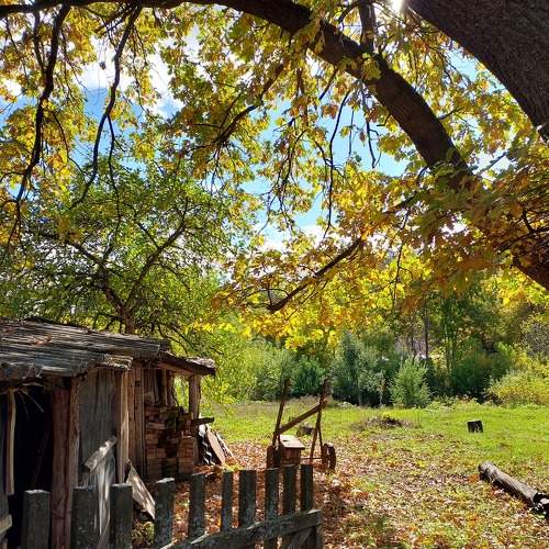 Photo #8141881
