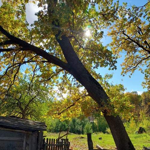 Photo #8141884