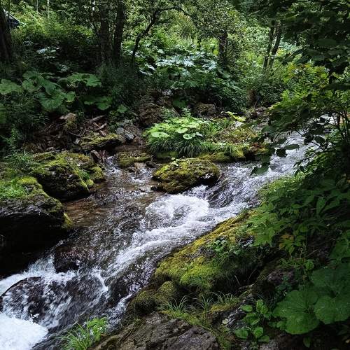 Photo #8141923