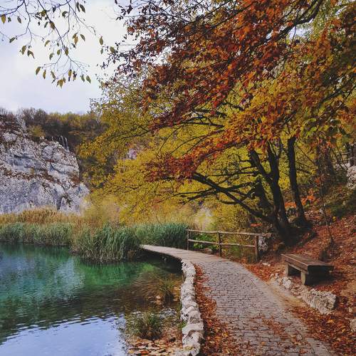 Photo #8142235