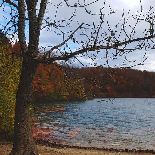 Photo #8142236