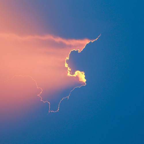 Photo #8142342