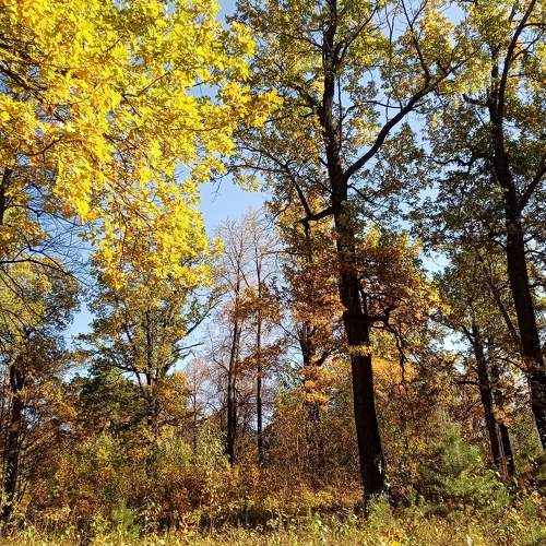 Photo #8142405
