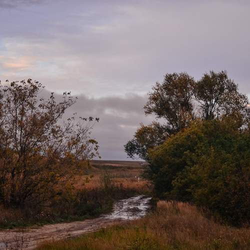 Photo #8142503