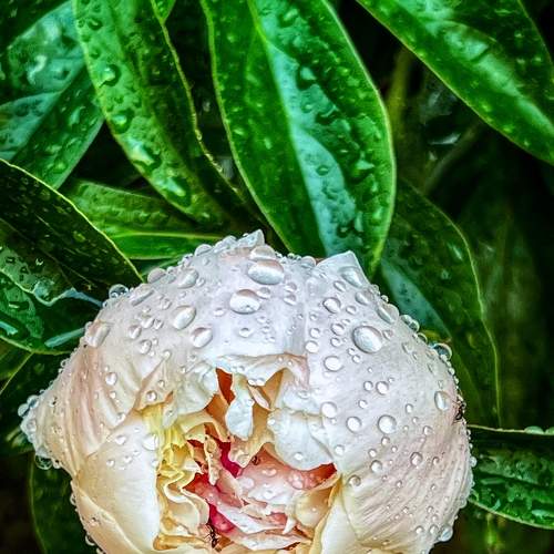 Photo #8142603