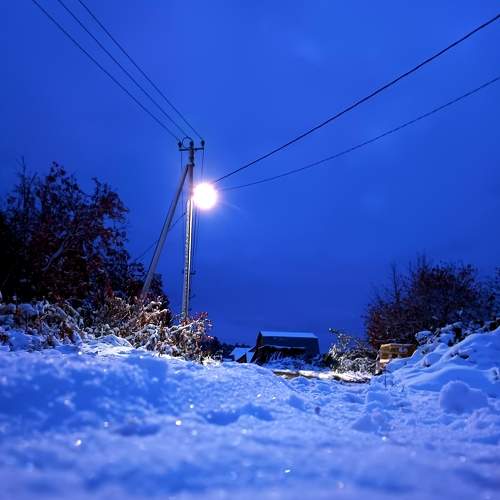 Photo #8142804