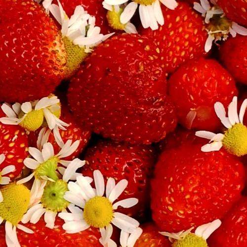 Photo #8142932