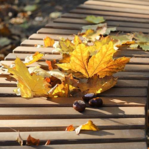 Photo #8143016