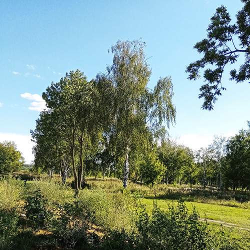 Photo #8143109