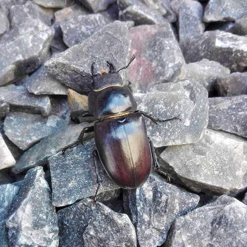 Photo #8143286