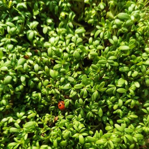 Photo #8143441