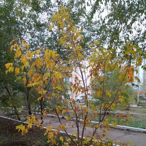 Photo #8144257