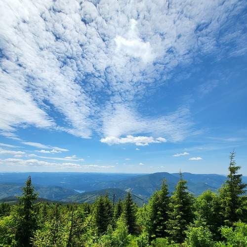 Photo #8144354