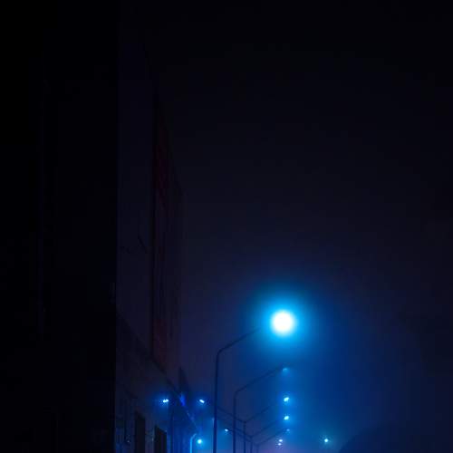 Photo #8144573