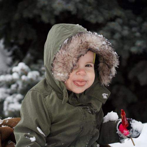 Photo #8144605