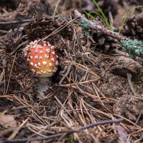 Photo #8144621